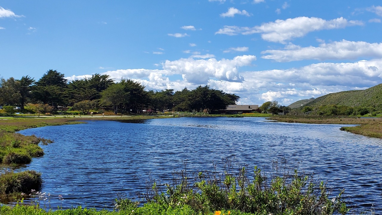 Photo of Others in Pajaro Dunes