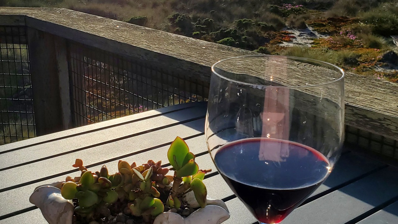 Photo of Patio Balcony in Pajaro Dunes