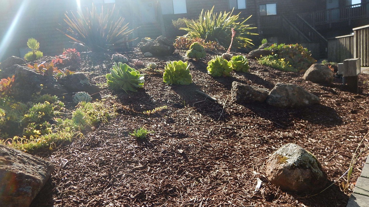 Photo of Outdoor in Pajaro Dunes