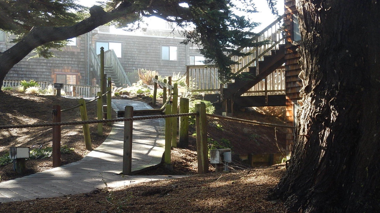 Photo of Others in Pajaro Dunes