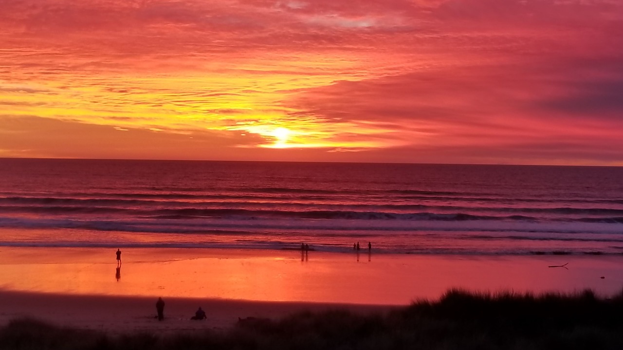 Photo of Others in Pajaro Dunes