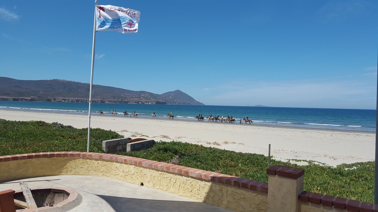 Photo of Others in Lengueta Arenosa