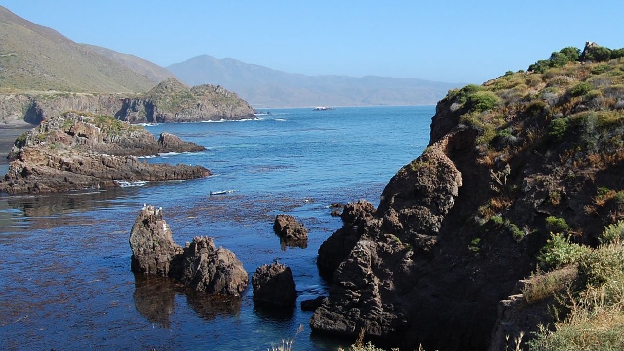 Photo of Others in Lengueta Arenosa