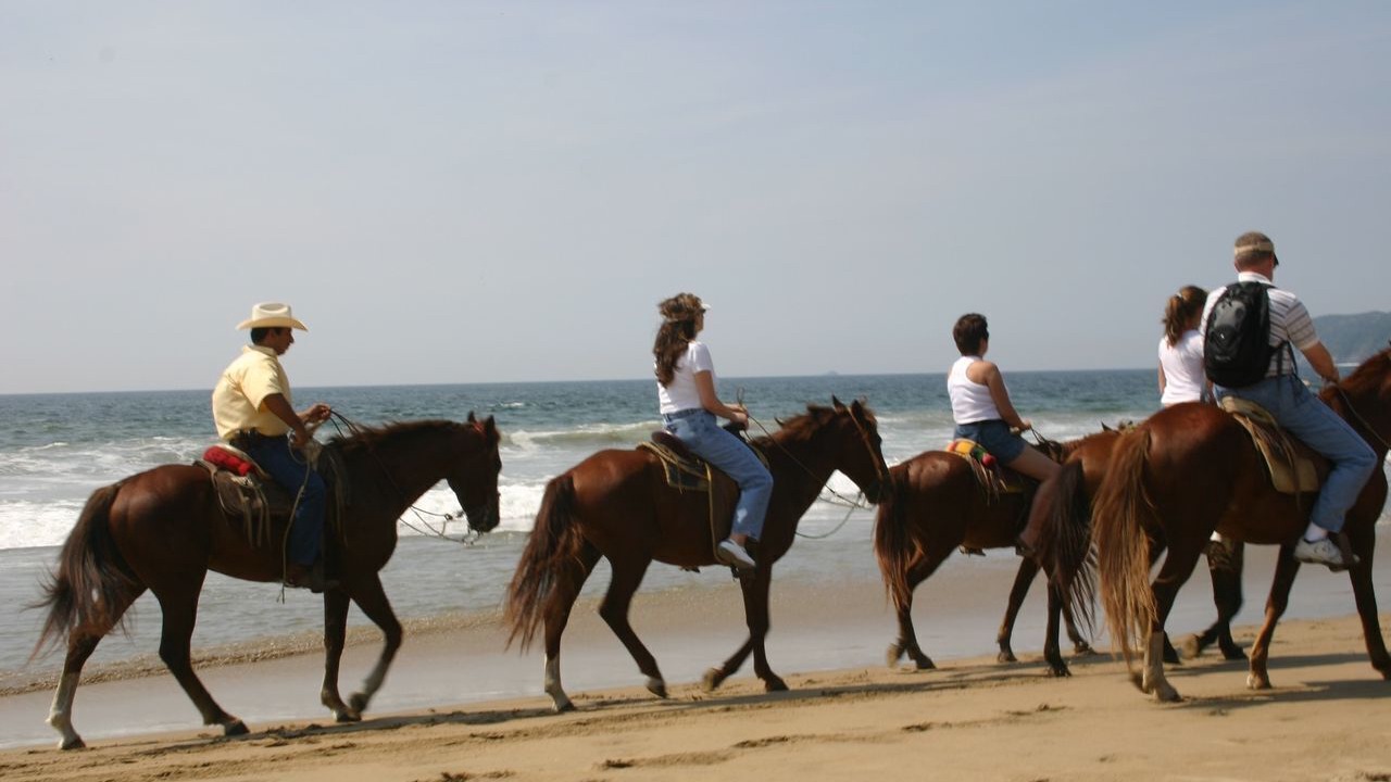 Photo of Others in Lengueta Arenosa