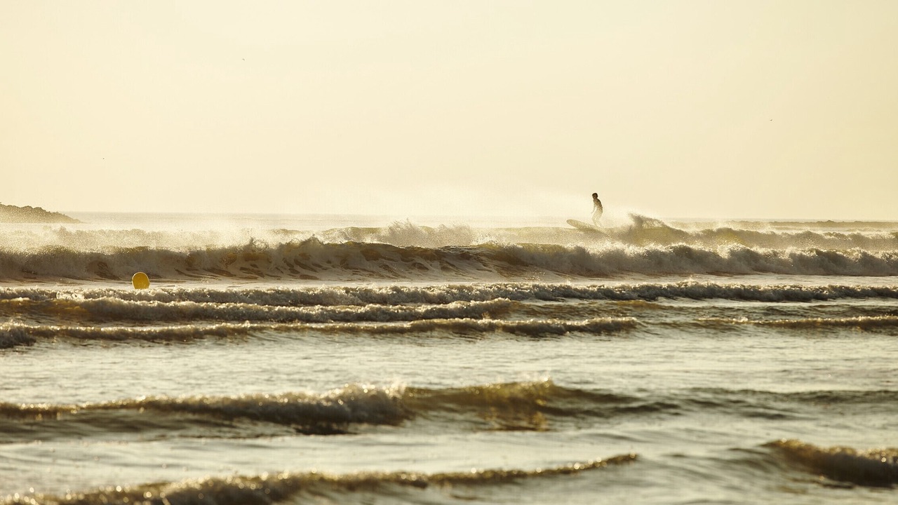 Photo of Others in Bretignolles-sur-Mer