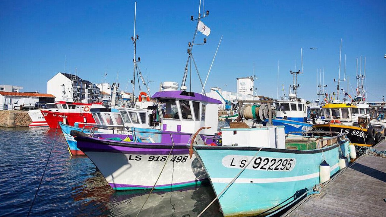 Photo of Others in Bretignolles-sur-Mer