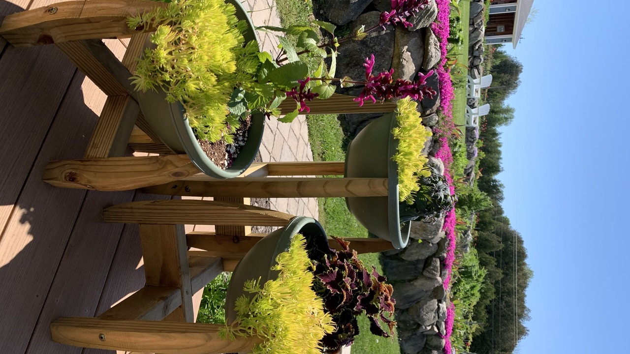 Photo of Outdoor in Petoskey