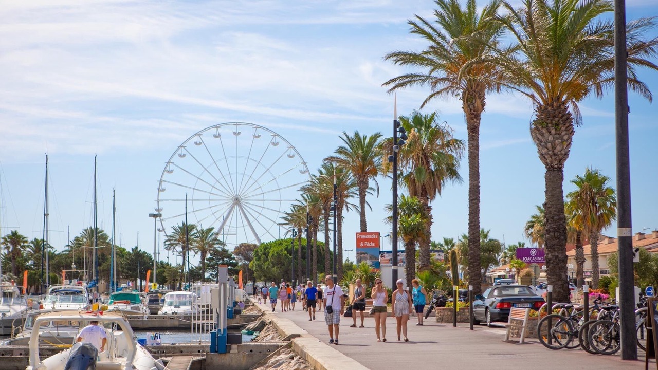 Photo of Others in Saint-Cyprien Plage