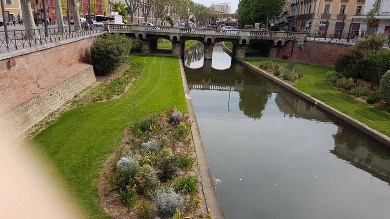 Photo of Outdoor in Saint-Cyprien Plage