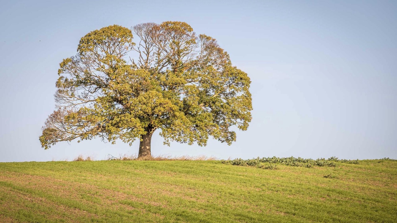Photo of Others in Mouterre-Silly