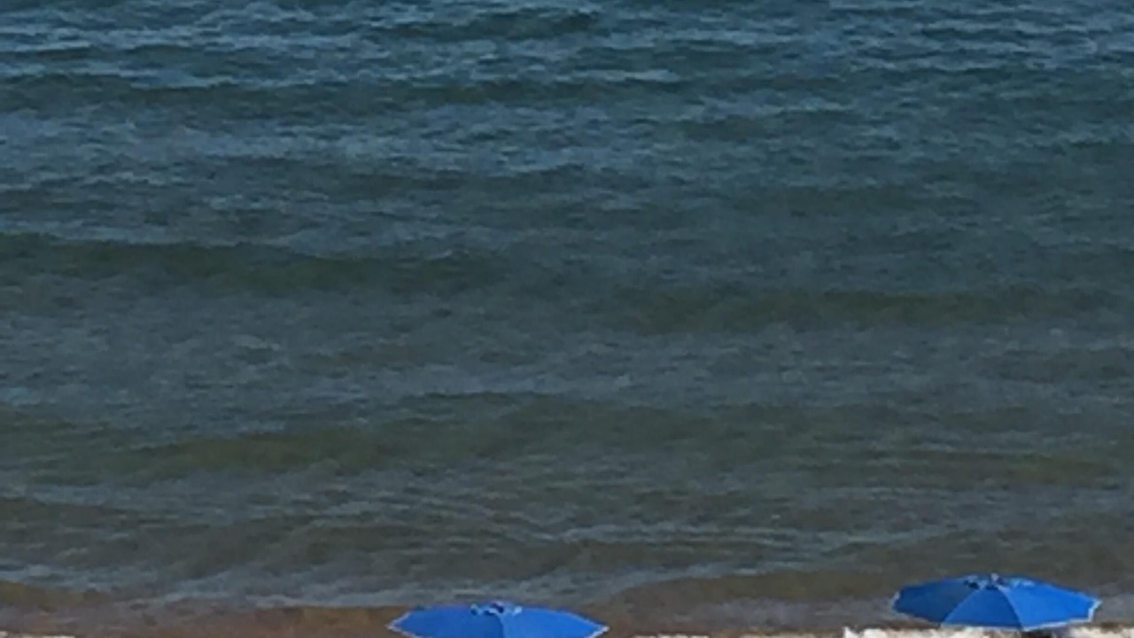 Photo of Others in Santa Margarida
