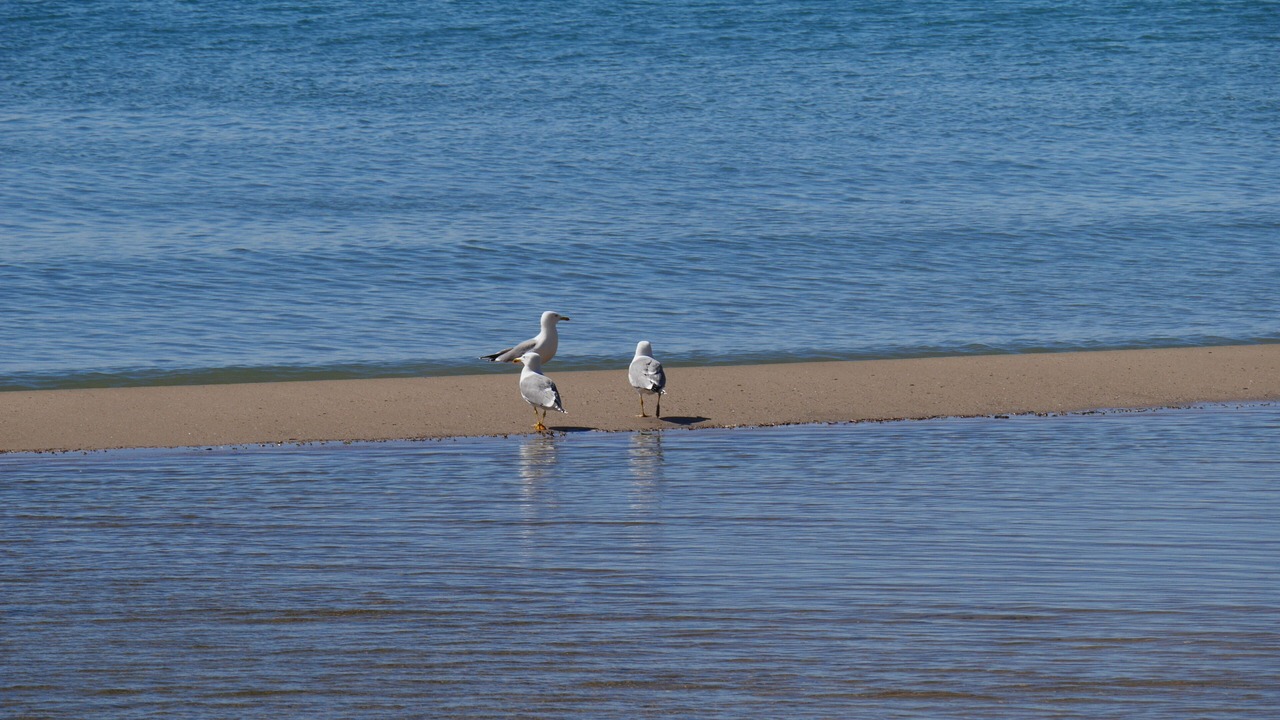 Photo of Others in Santa Margarida