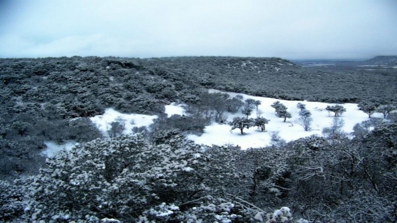 Photo of Outdoor in Merkel