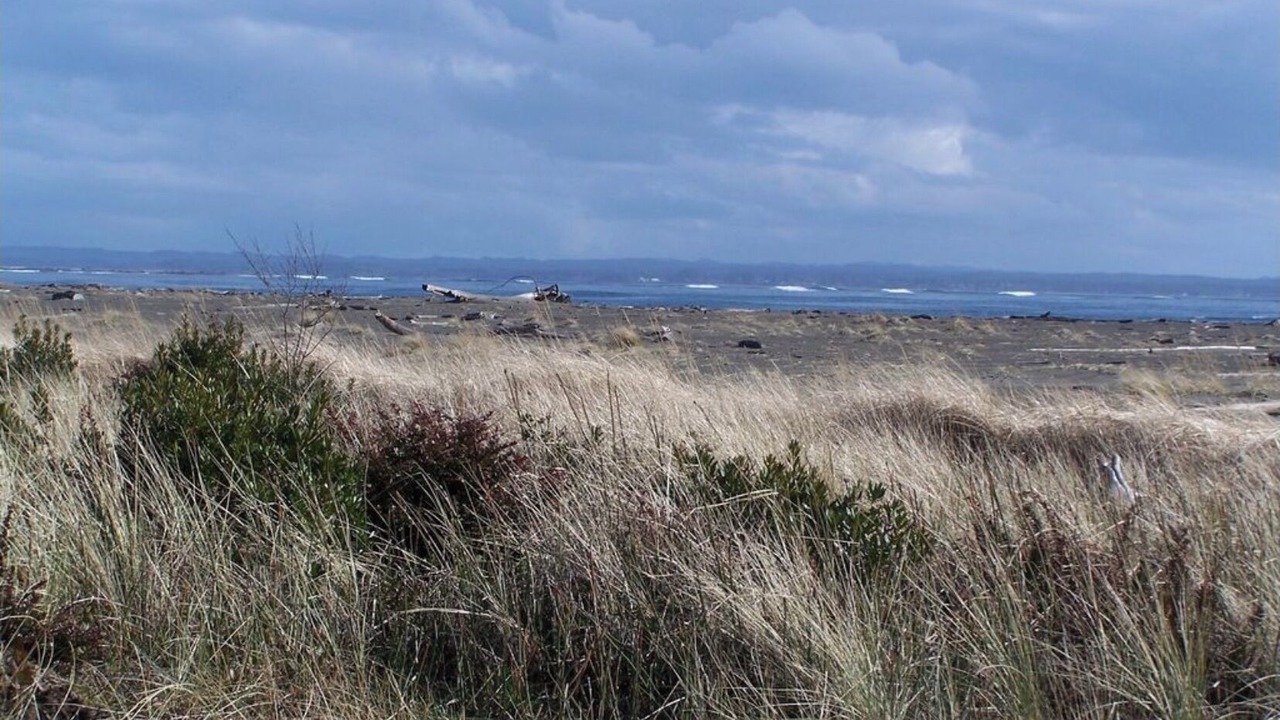 Photo of Others in Ocean Shores