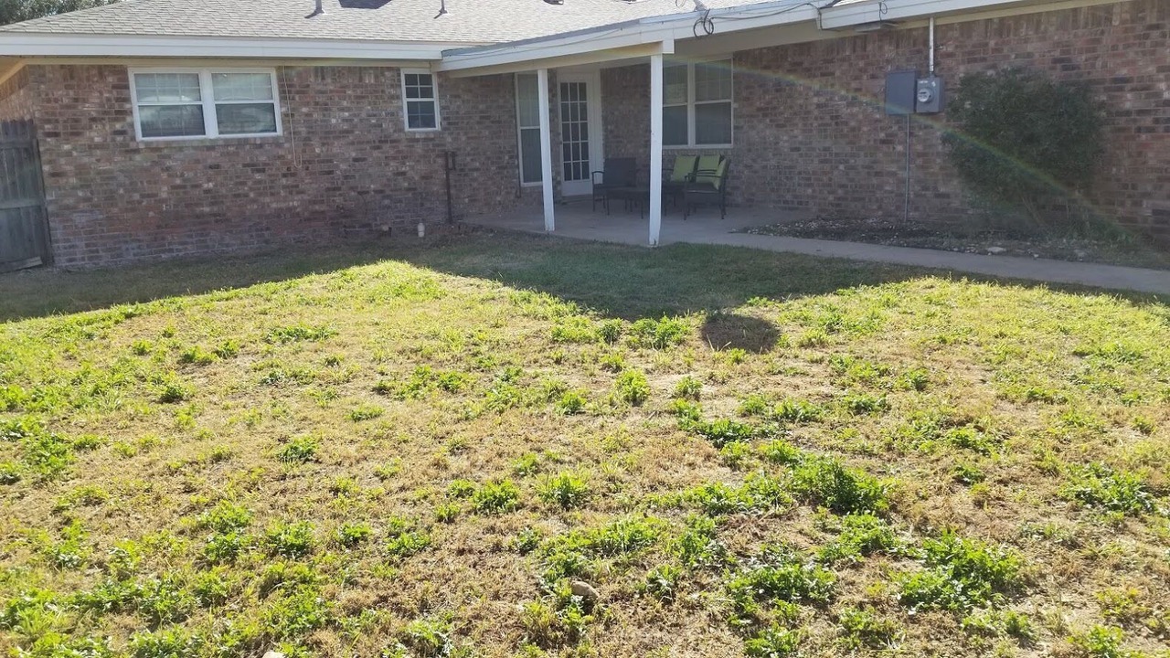 Photo of Outdoor in Midland