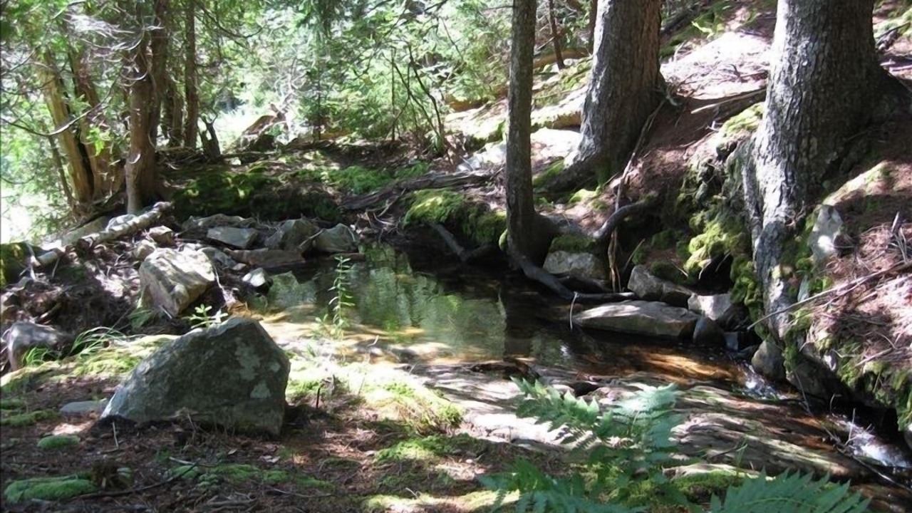 Photo of Outdoor in Southwest Harbor