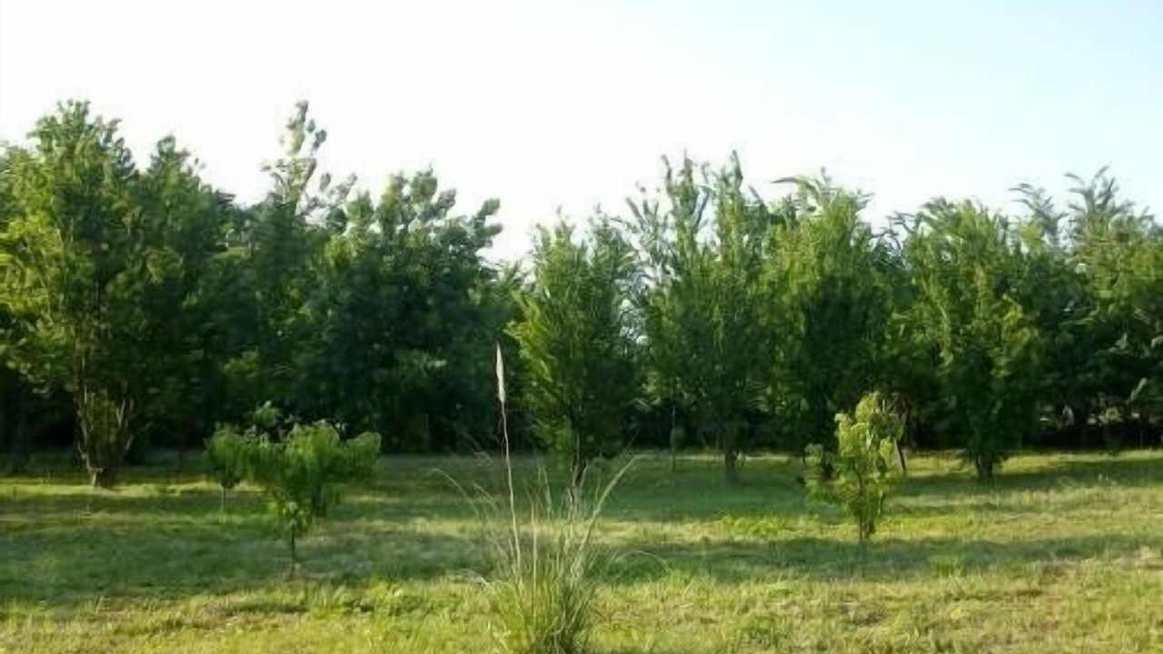 Photo of Outdoor in Rochegude