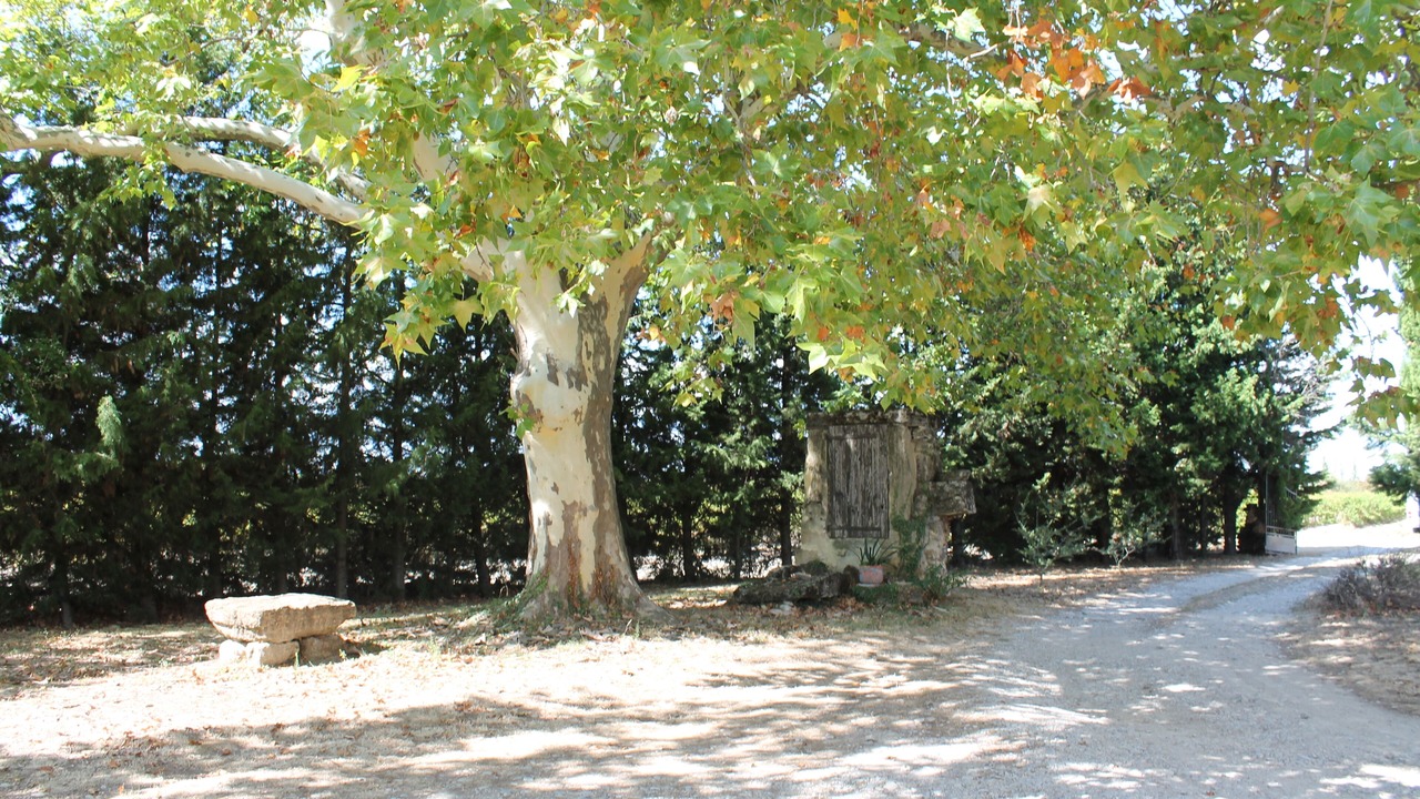 Photo of Outdoor in Rochegude