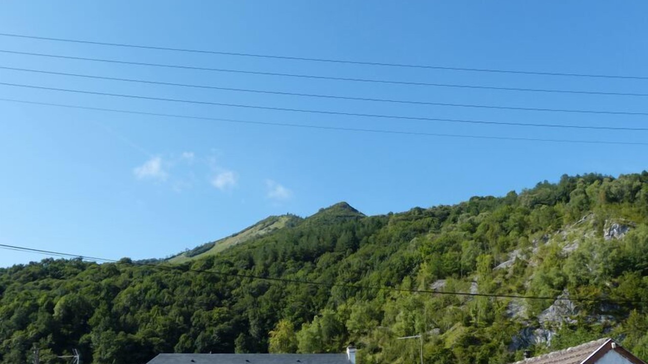 Photo of Others in Lourdes