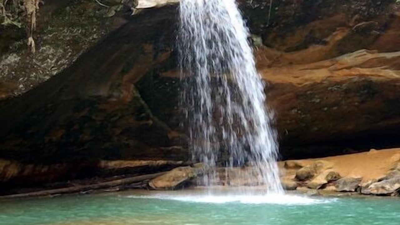 Photo of Others in Nelsonville