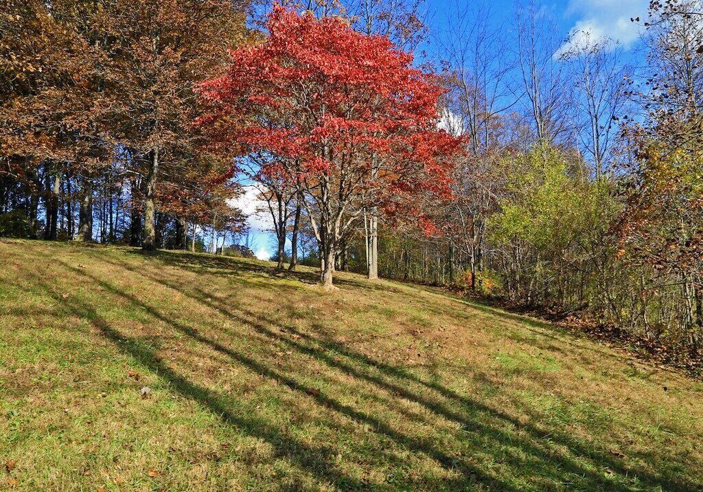 Photo of Others in Nelsonville