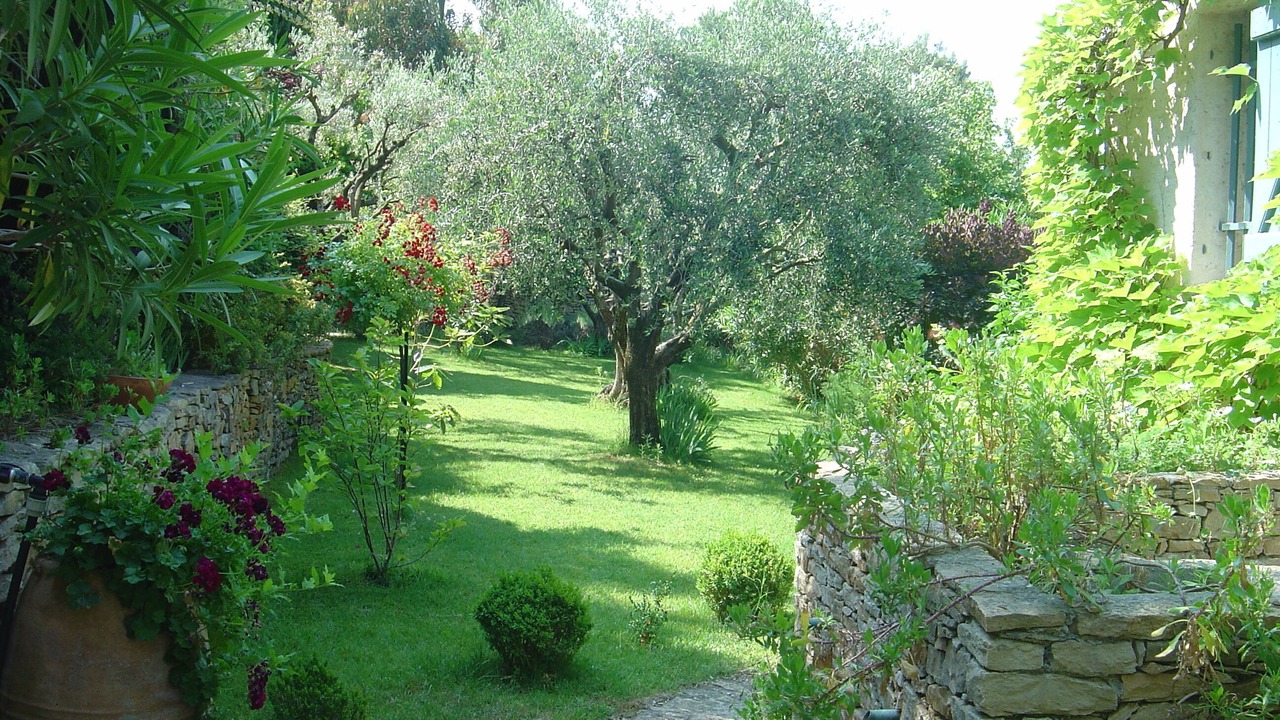 Photo of Outdoor in La Ciotat