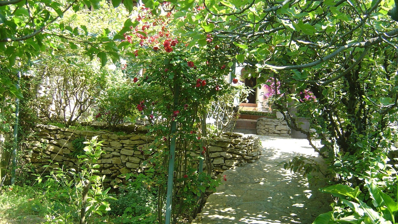 Photo of Outdoor in La Ciotat