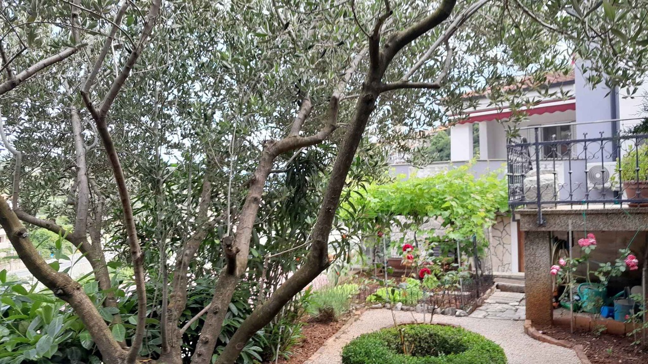 Photo of Outdoor in Vrbnik