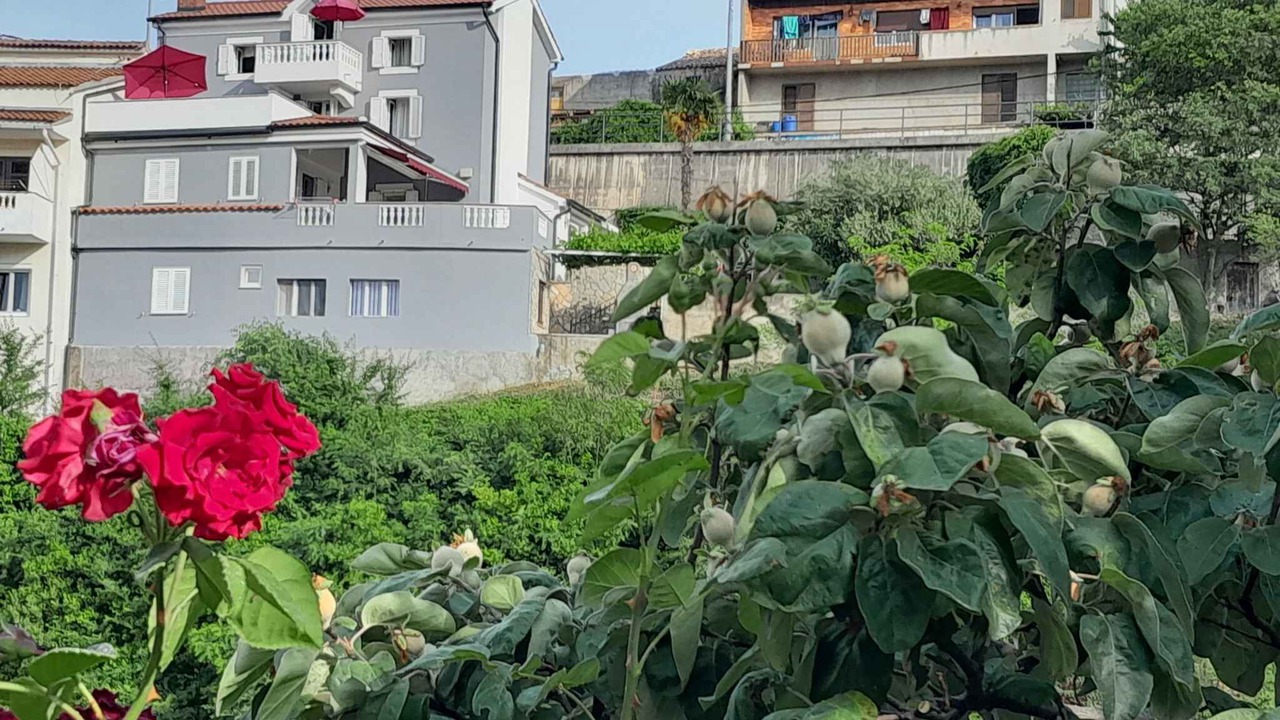 Photo of Outdoor in Vrbnik