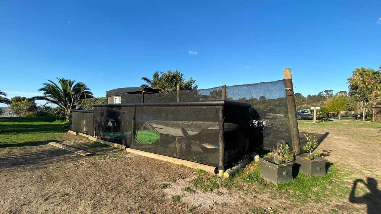 Photo of Outdoor in Whakamarama