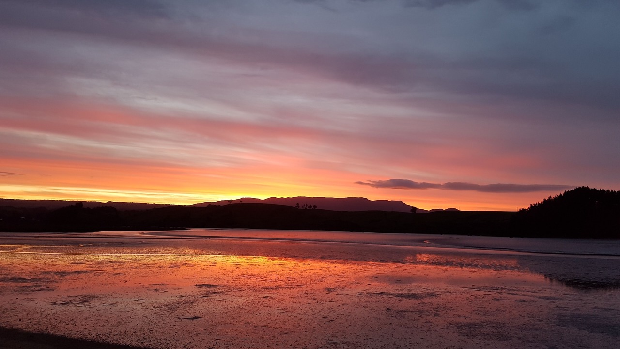 Photo of Others in Whakamarama