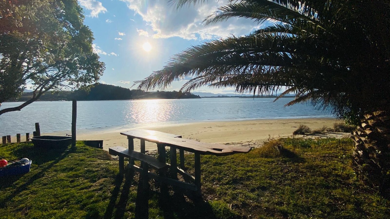 Photo of Others in Whakamarama