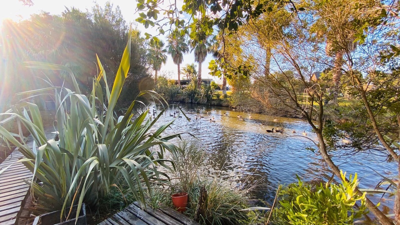 Photo of Outdoor in Whakamarama