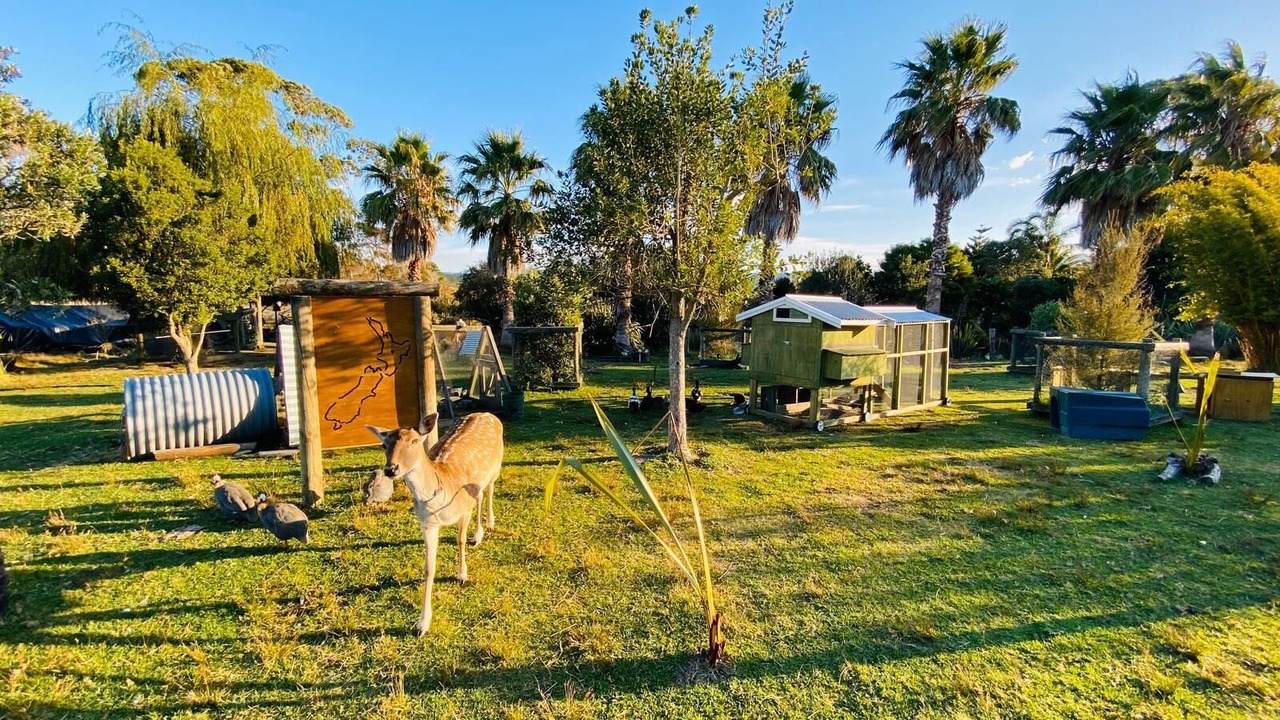 Photo of Outdoor in Whakamarama