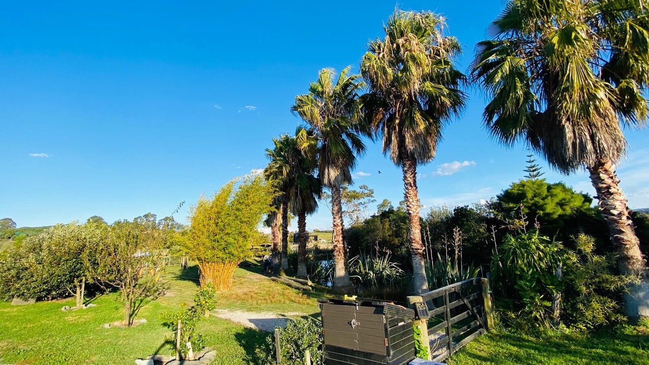 Photo of Outdoor in Whakamarama