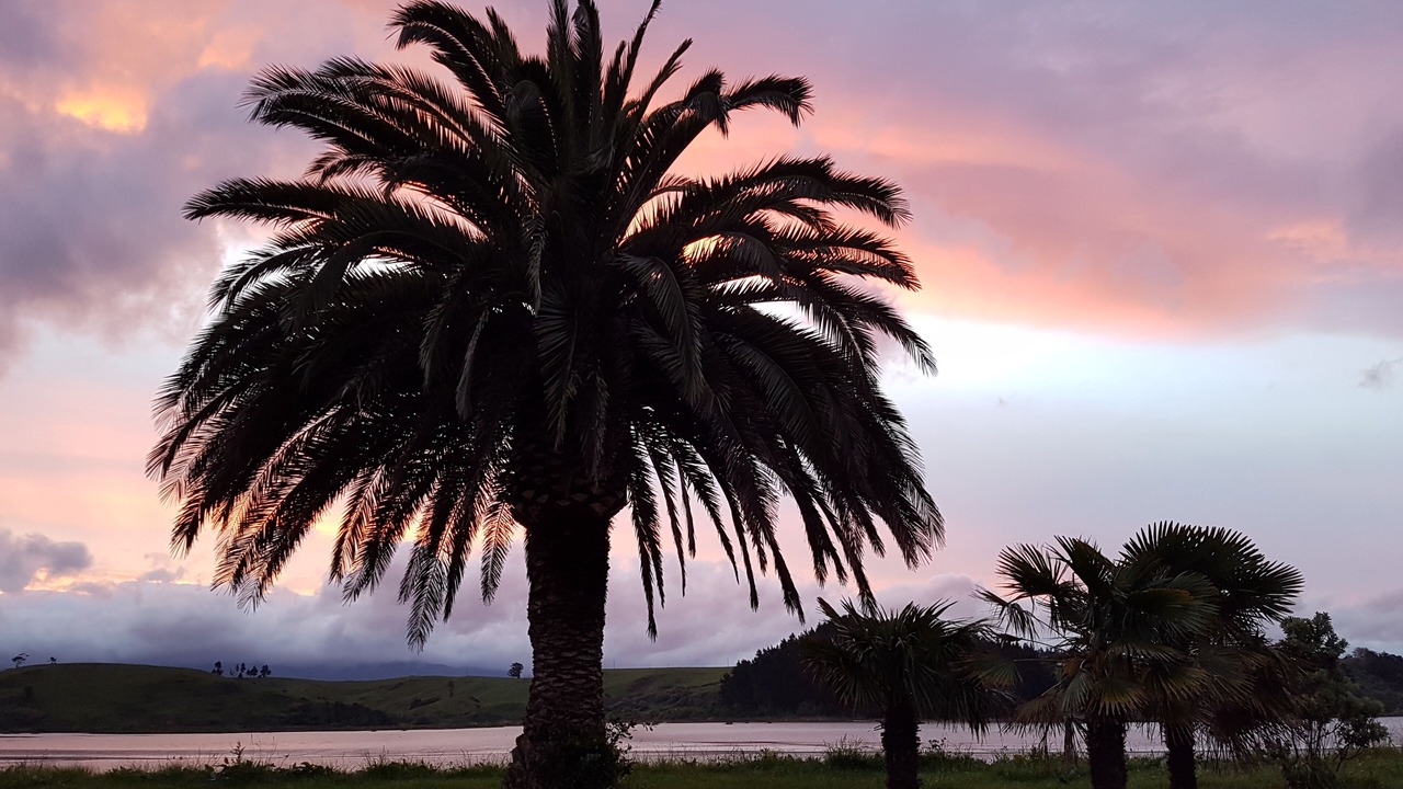 Photo of Outdoor in Whakamarama