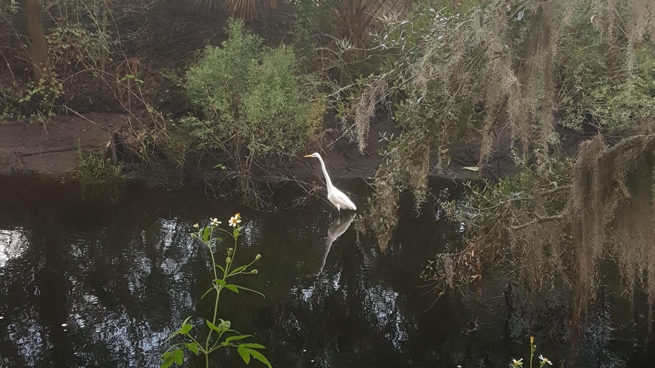 Photo of Others in Ocean Cay