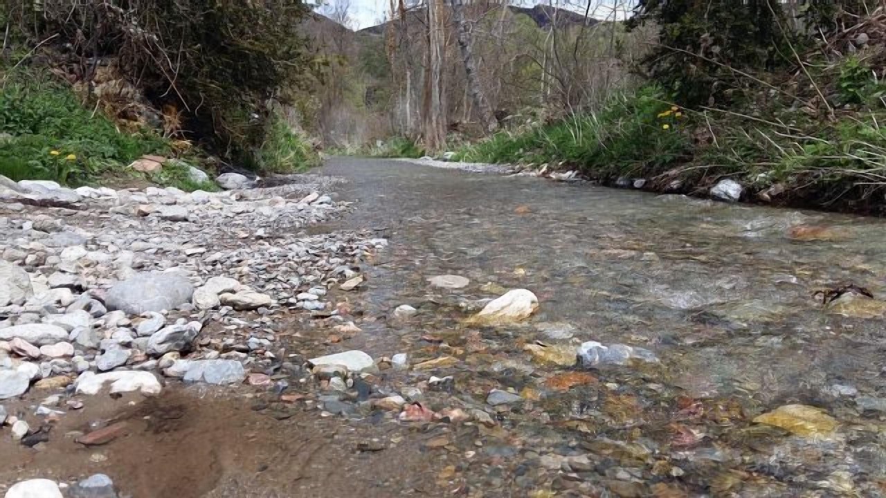 Photo of Outdoor in Bellver de Cerdanya