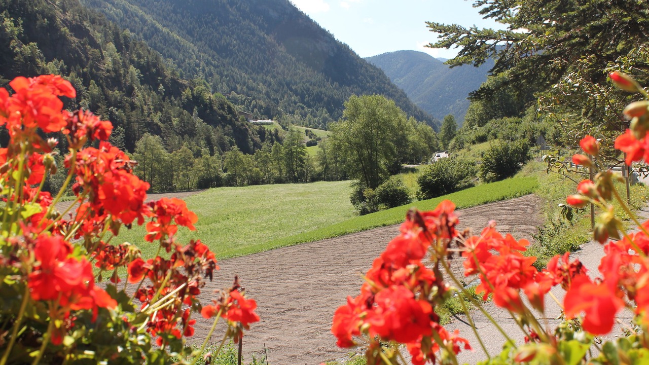 Photo of Outdoor in Llorts