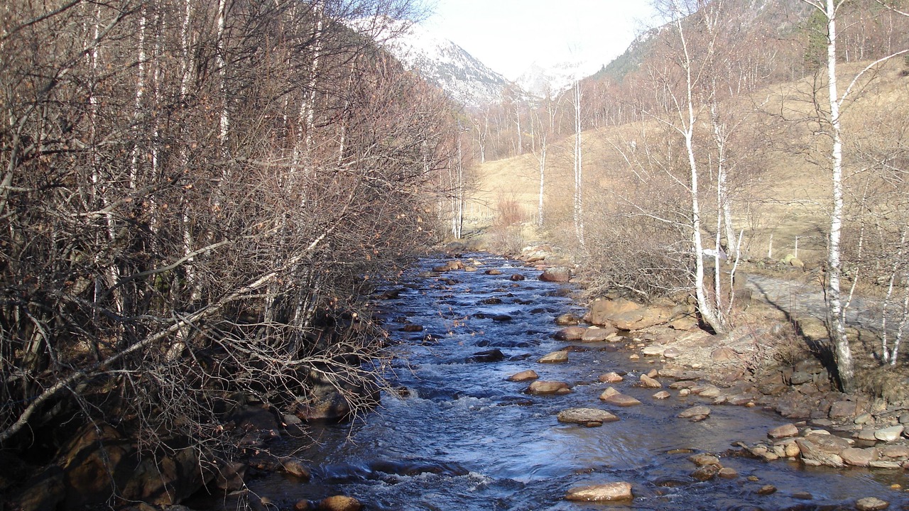 Photo of Outdoor in Llorts