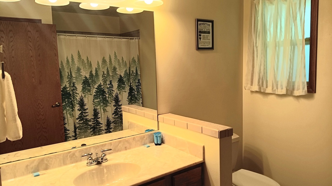 Photo of Bathroom in Flippin