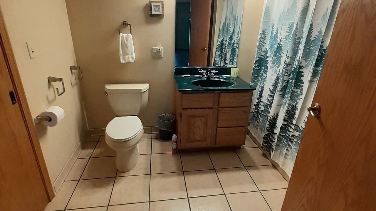 Photo of Bathroom in Flippin