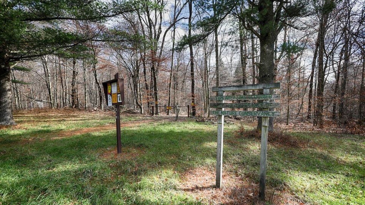 Photo of Outdoor in Pocono Lake