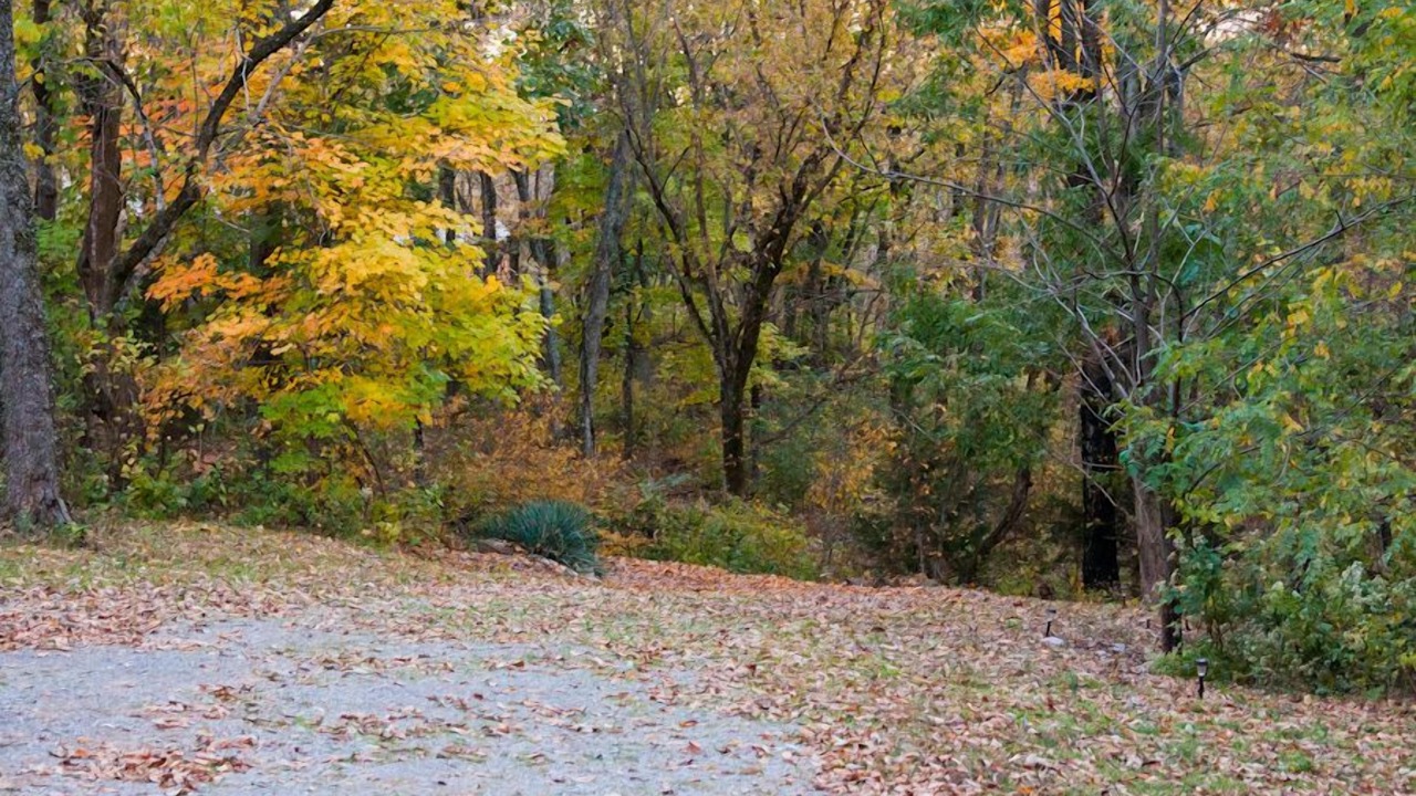 Photo of Outdoor in Smyrna