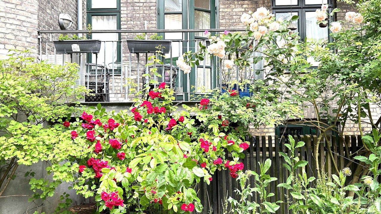 Photo of Outdoor in København V