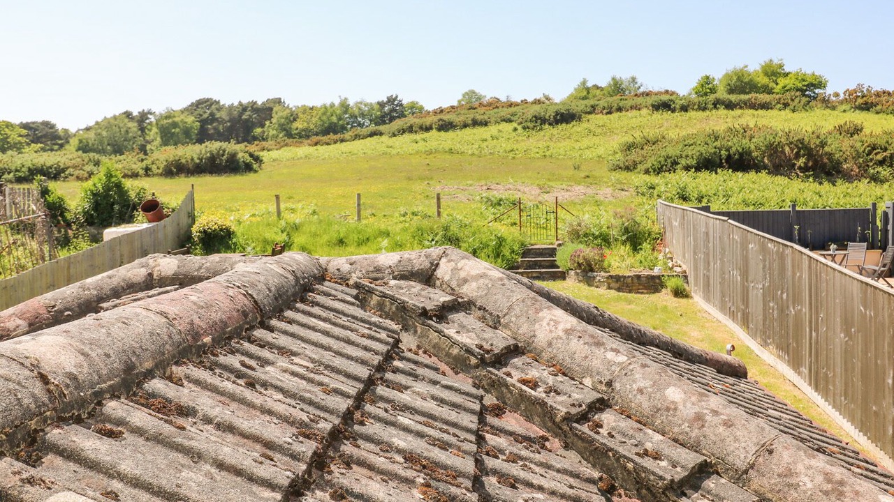 Photo of Outdoor in Studland