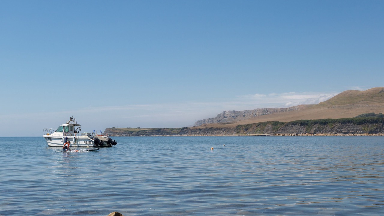 Photo of Others in West Lulworth