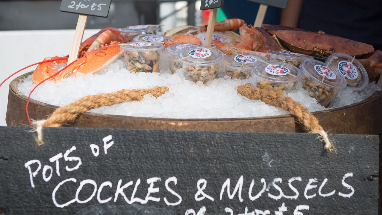 Photo of Others in West Lulworth