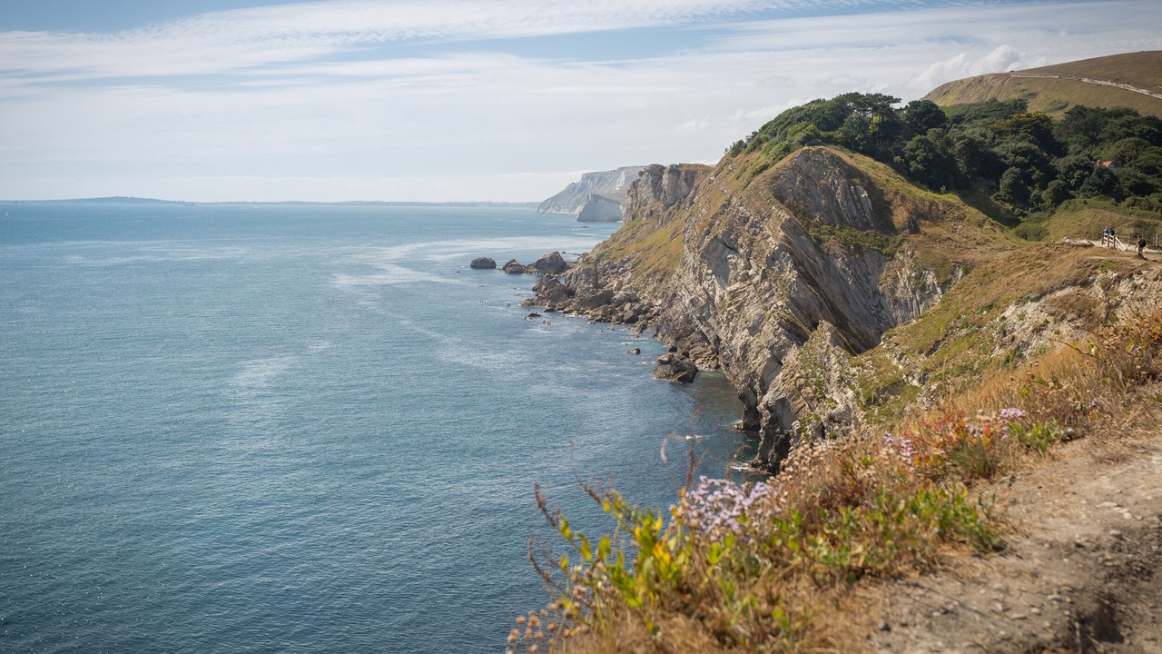 Photo of Others in West Lulworth