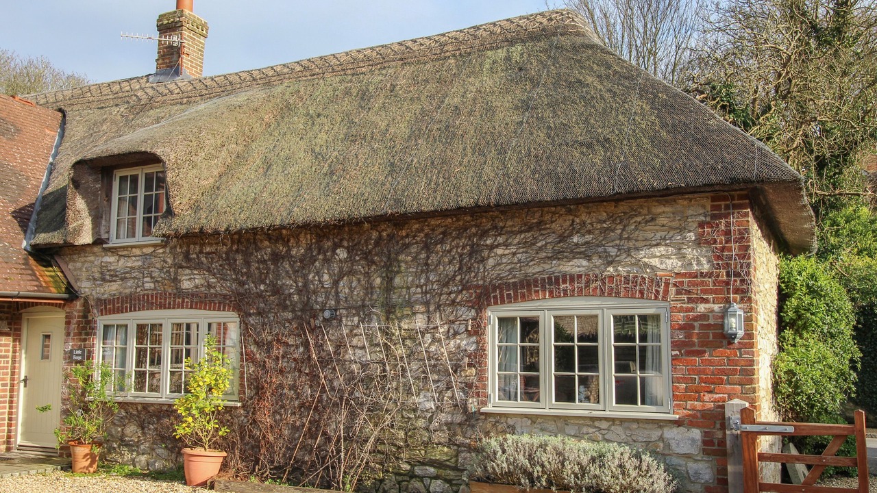 Photo of Outdoor in West Lulworth